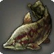 Nadirichthys