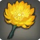 Nopaliflower
