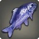Nyctichthys