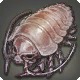 Oizylouse