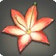 Oizys Cactoid Flower