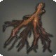 Oizys Cactoid Root