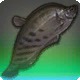 Onyx Knifefish