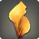 Orange Arum Corsage