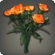 Orange Carnations