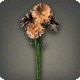 Orange Cornflowers