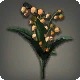 Orange Lilies of the Valley