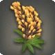 Orange Lupin Corsage