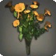 Orange Morning Glories