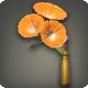 Orange Morning Glory Corsage