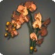 Orange Moth Orchids