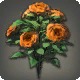 Orange Oldroses