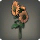 Orange Sunflowers