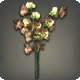 Orange Sweet Peas