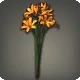 Orange Triteleia