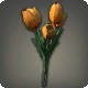 Orange Tulips