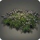 Oriental Grass Plot