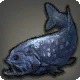 Paksa Fish