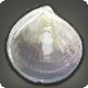 Pearl Shell
