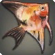 Pixie Fish