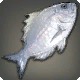 Platinum Bream