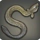 Polarized Eel