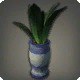 Potted Maguey