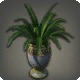 Potted Spider Plant