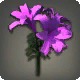 Purple Brightlilies