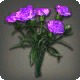 Purple Carnations