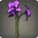 Purple Cattleyas