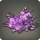Purple Cherry Blossoms