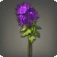 Purple Chrysanthemums