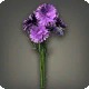 Purple Cornflowers