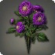 Purple Dahlias