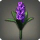 Purple Hyacinths