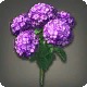 Purple Hydrangeas