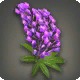 Purple Lupin Corsage