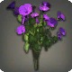 Purple Morning Glories