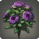 Purple Oldroses