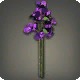 Purple Paperflowers