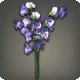 Purple Sweet Peas