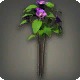 Purple Tea Flowers