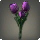 Purple Tulips