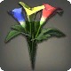 Rainbow Arums
