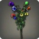 Rainbow Campanulas