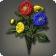 Rainbow Dahlias
