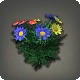 Rainbow Daisies