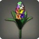 Rainbow Hyacinths