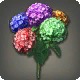 Rainbow Hydrangeas